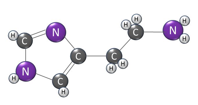 Histamine molecule